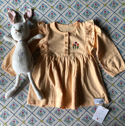 Frock (6-12 months)