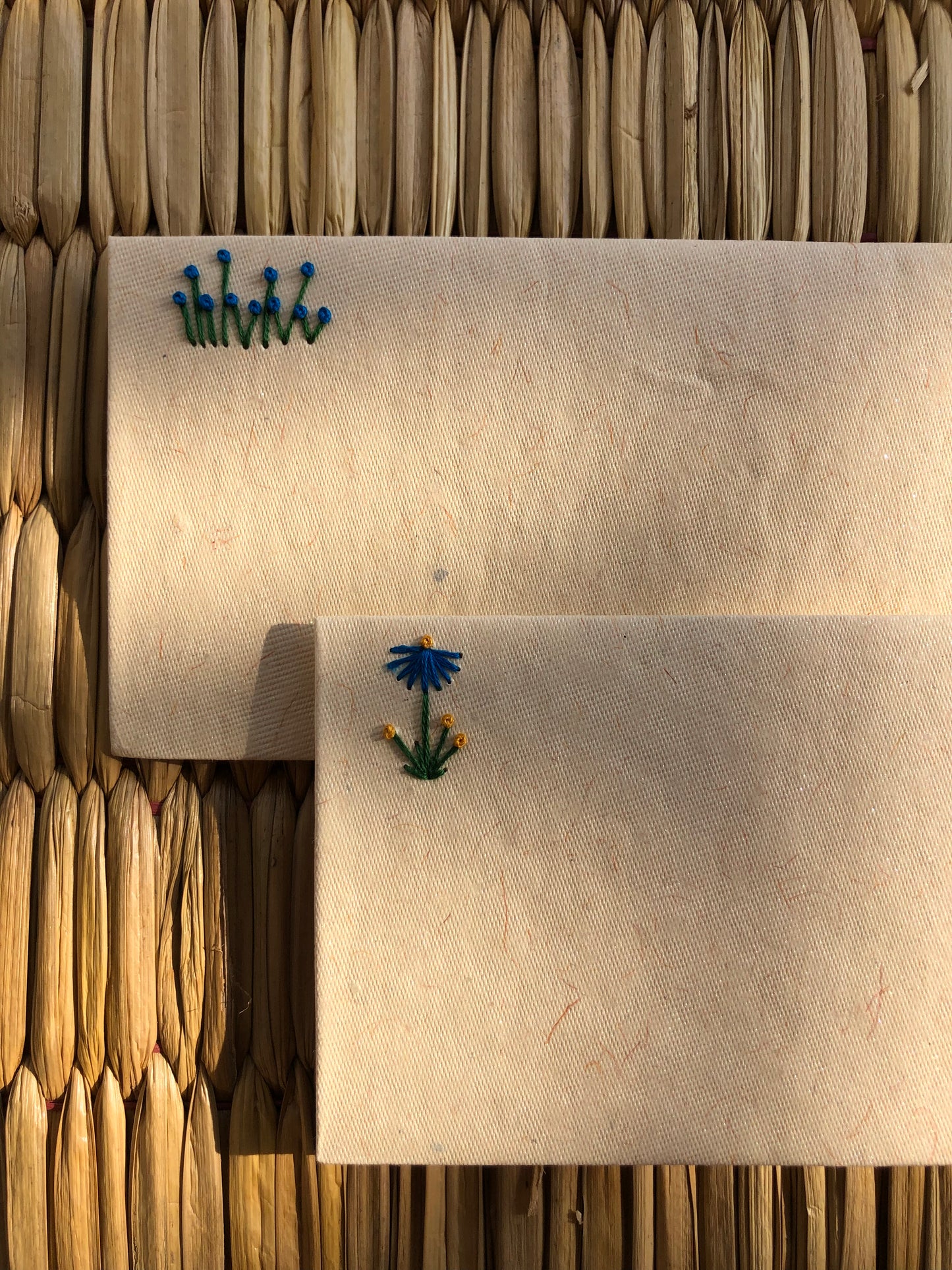 Shagun envelopes