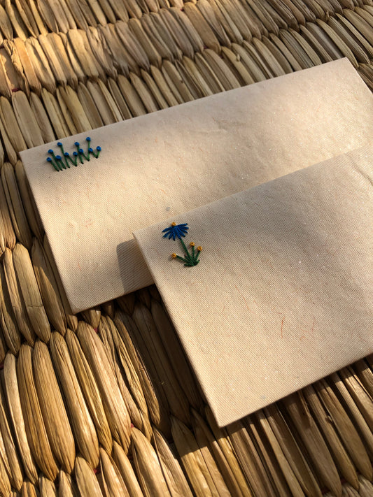 Shagun envelopes