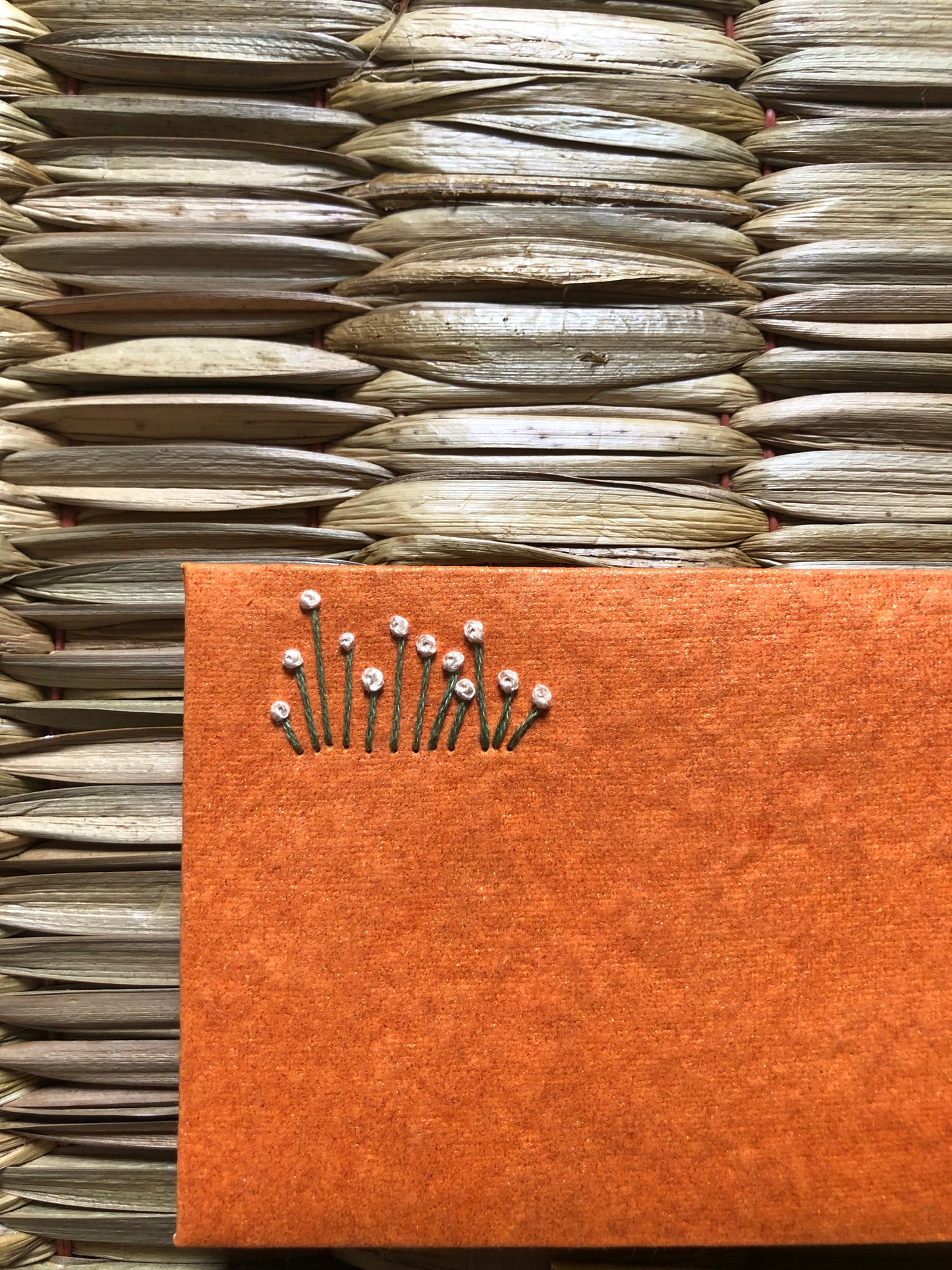 Shagun envelopes